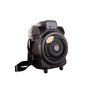 Loa di động Temeisheng Q6F