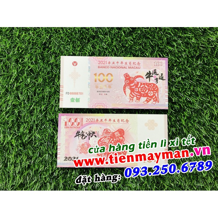 Combo 10 Tờ Tiền Lưu Niệm 100 Dollar Macao Hình Con trâu - Quà Tặng Lì Xì Tết Tân Sửu 2021 - kèm 10 bao lì xì