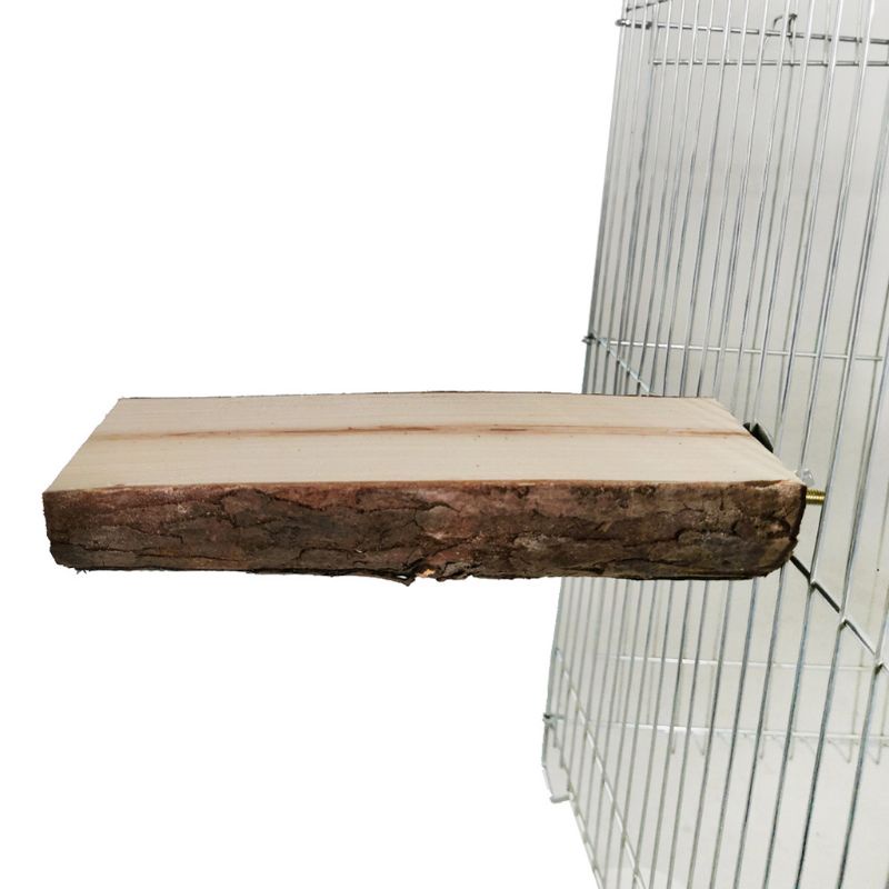 Set 2 thanh đứng bằng gỗ tự nhiên cho chim vẹt
