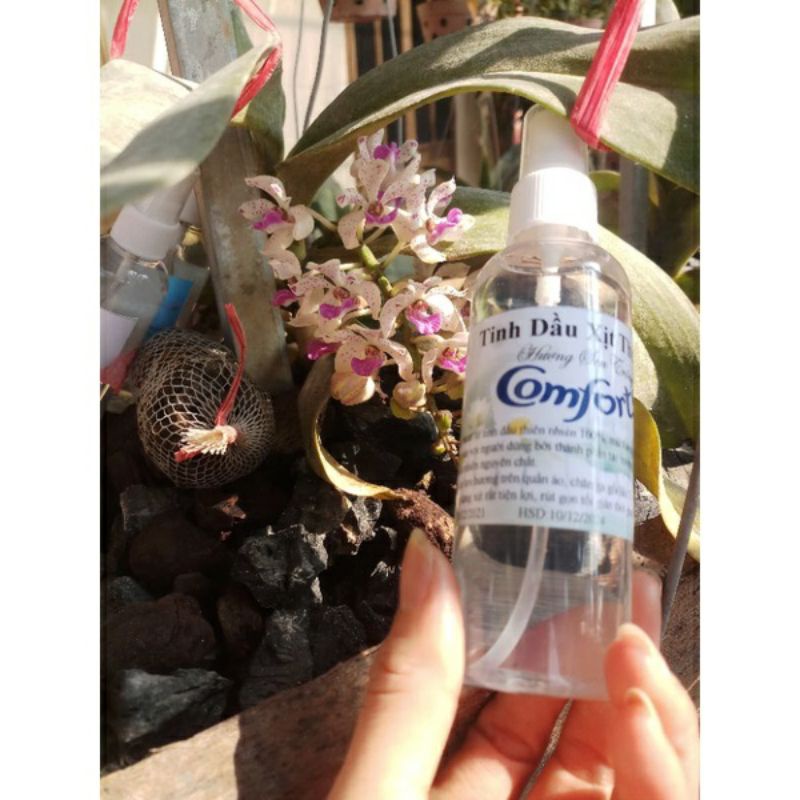 Tinh dầu xịt thơm comfort chai 100ml