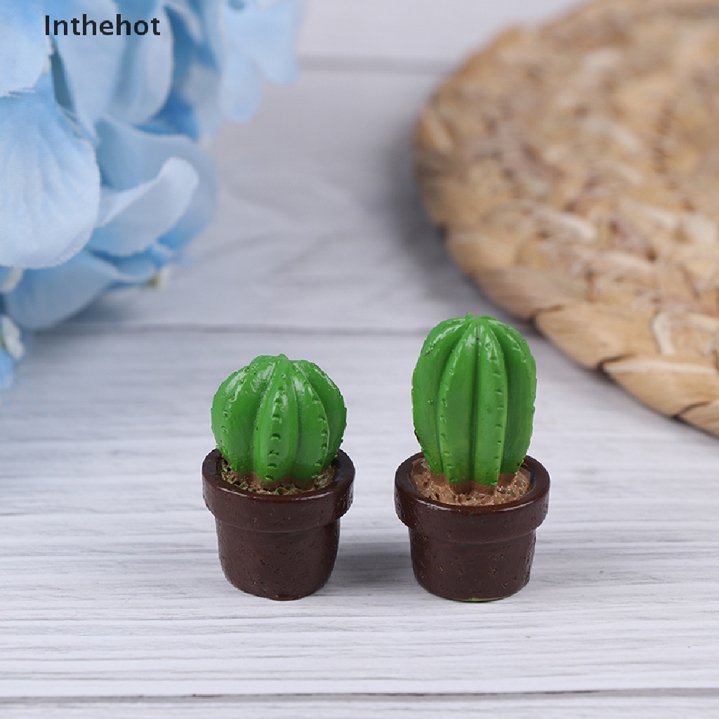 Bộ 5 Cây Xương Rồng mini Bằng Nhựa Trang Trí Nhà Cửa