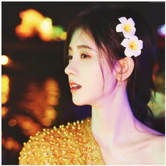 Hoa Cho Tóc Đi Biển 1 Cái Sứ