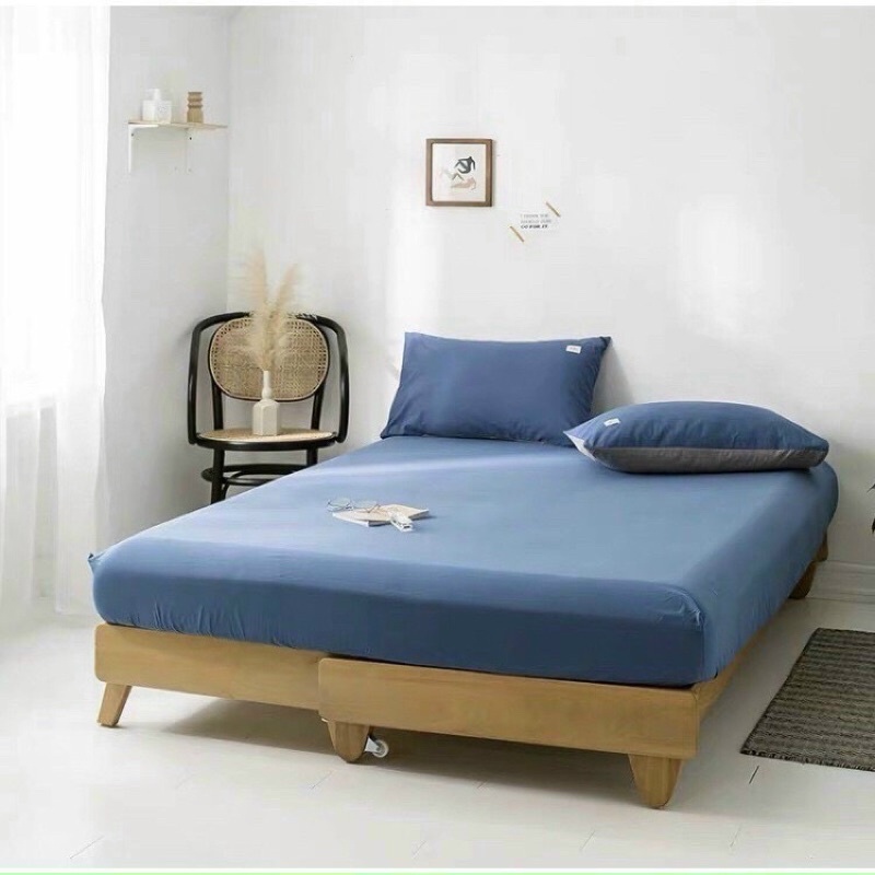 Bộ ga gối cotton tici cao cấp 1ga 2 vo goi(miễn phí bo chun)- Kanta store