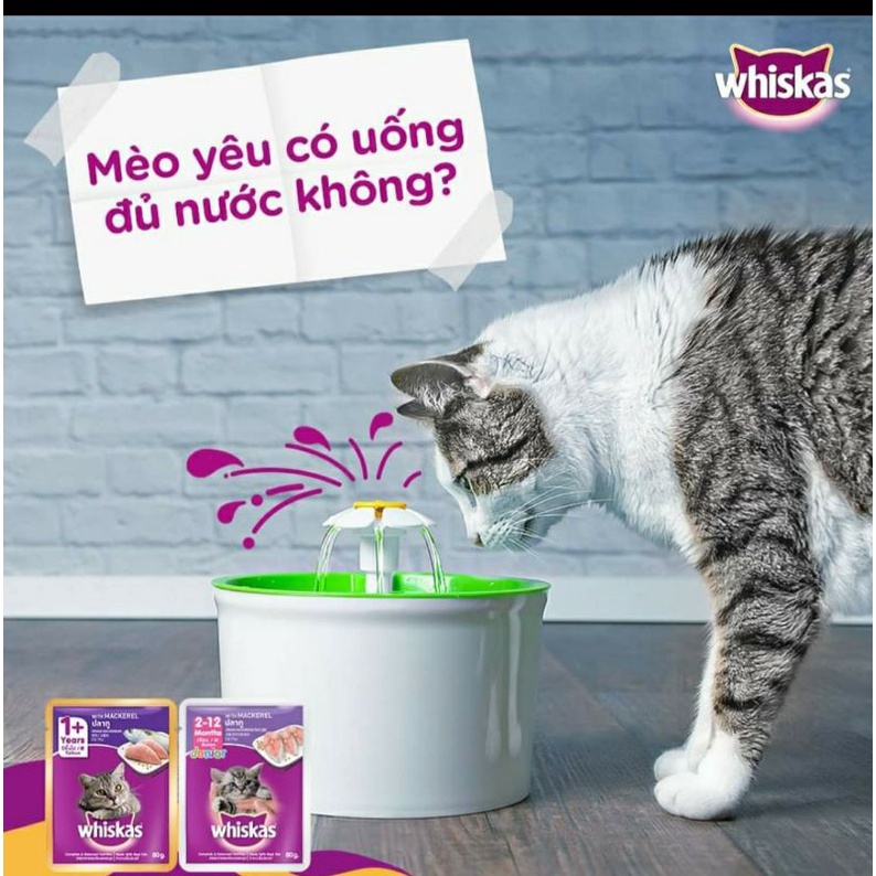 Pate Cho Mèo Lớn, Pate cho mèo con,  Whiskas1+ Whiskas junior  túi 80g vị Cá Ngừ, Cá Thu, Cá Biển.