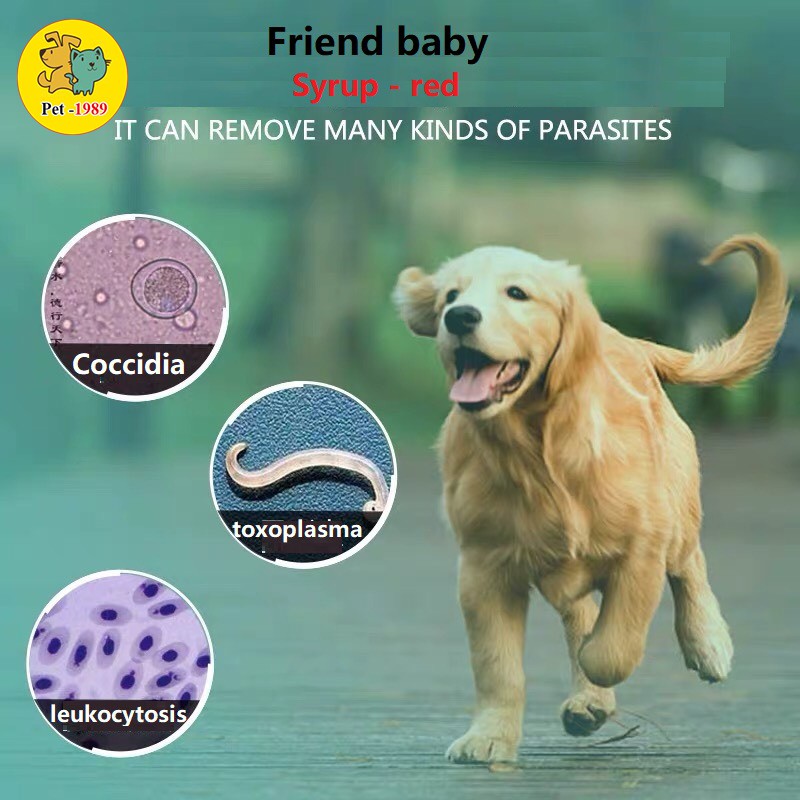 Siro Uống Chống Giun Sán Ở Chó Mèo Friend Baby 5ml Pet-1989