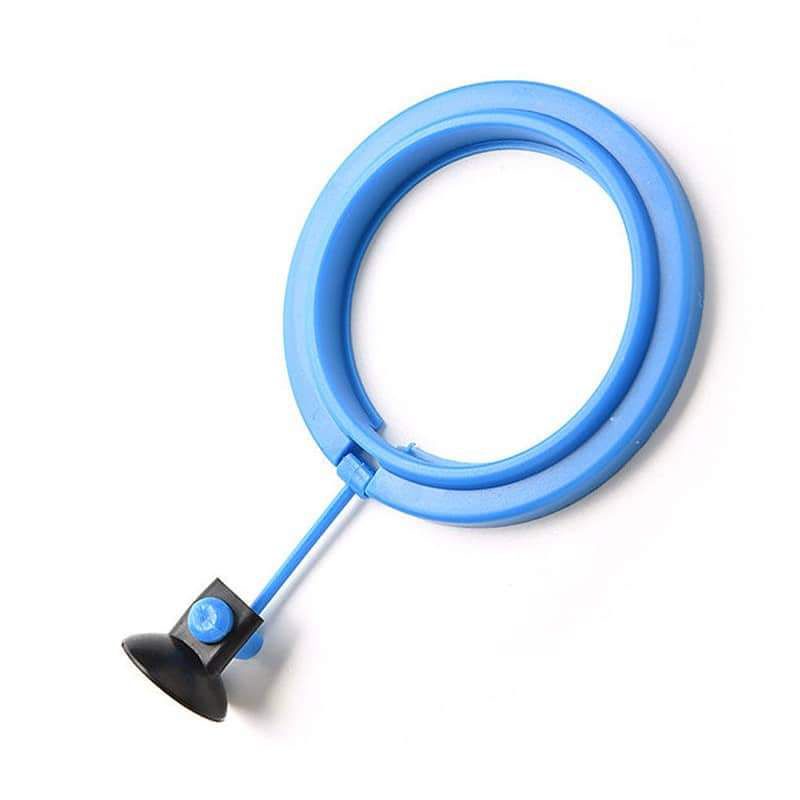 Vòng cho cá ăn, giúp không cho thức ăn lan ra ngoài