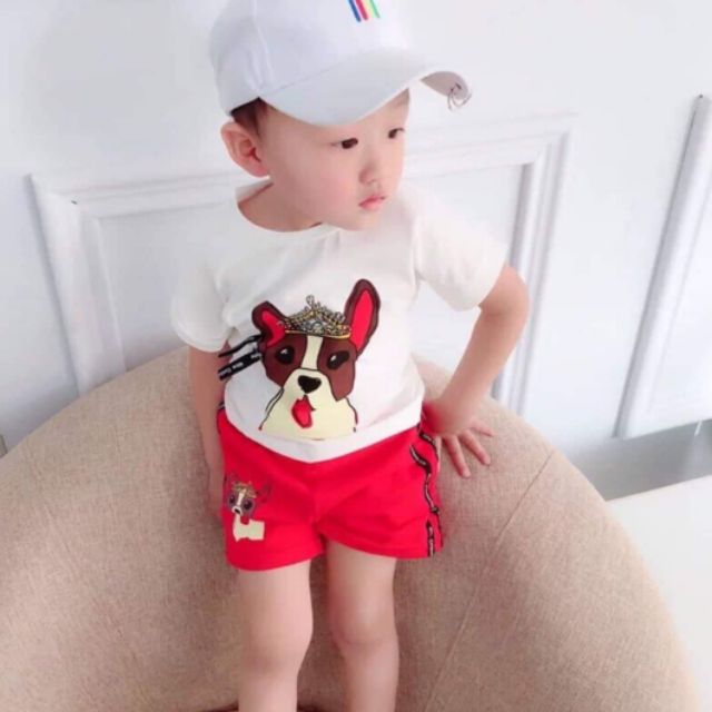 Combo áo phông cho bé