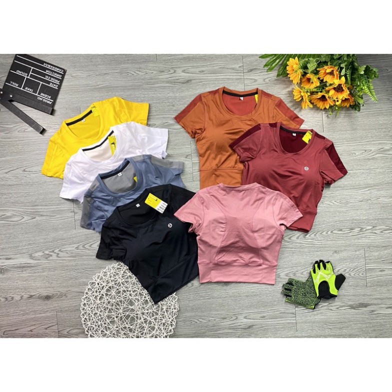 Áo croptop thun nữ ⚡ 𝗙𝗿𝗲𝗲𝘀𝗵𝗶𝗽 ⚡ Áo tập thể thao nữ co giãn 4 chiều