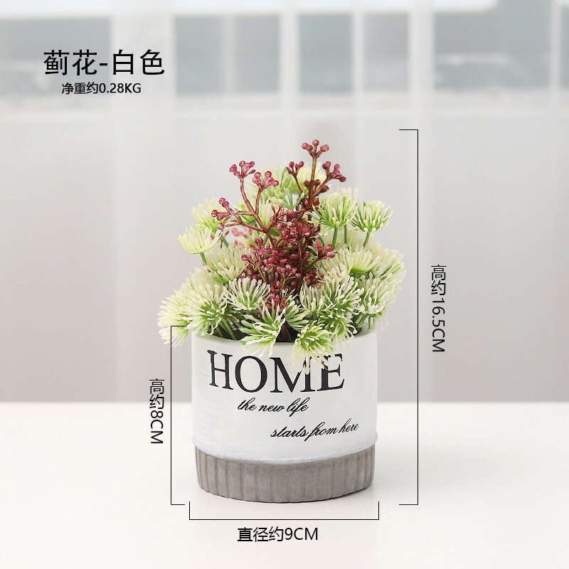 CHẬU HOME TRANG TRÍ ĐỂ BÀN