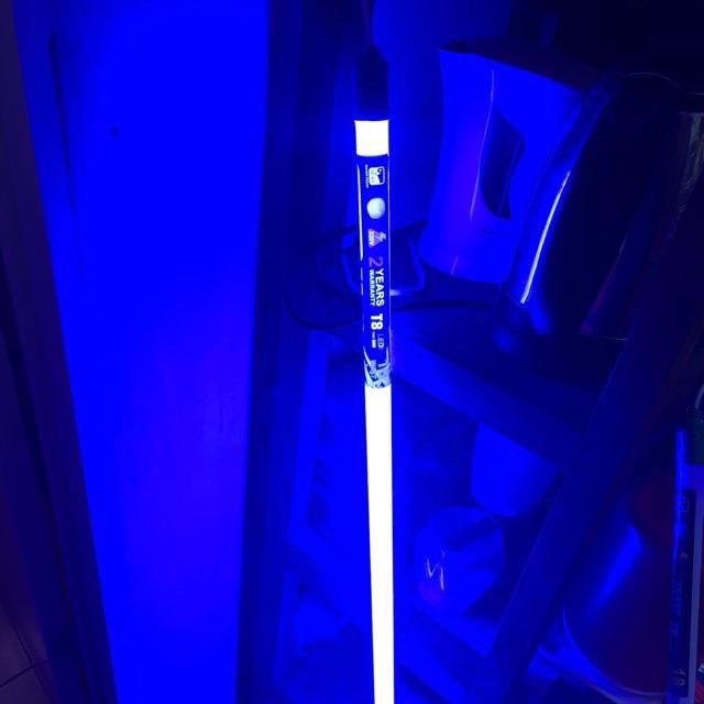 Đèn LED neon Tuýp LED Thanh Liền Máng Dài 90/120 cm, Màu Xanh Dương, Hồng (Quay Tiktok) | BigBuy360 - bigbuy360.vn