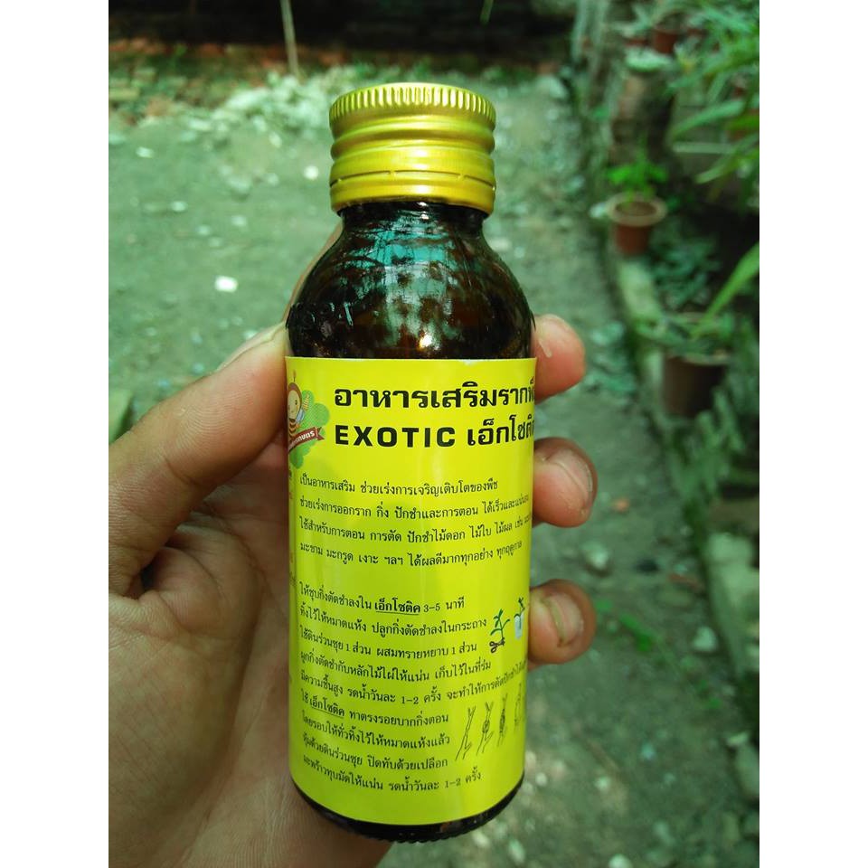 kích ra rễ cực mạnh Exotic hàng thái lan
