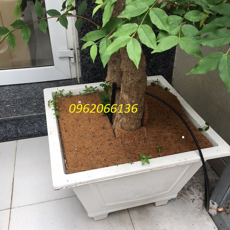 Bán Thảm xơ dừa ép kích thước 50x50 cm, giá thể giữ ẩm cho cây trồng chậu chất lượng.