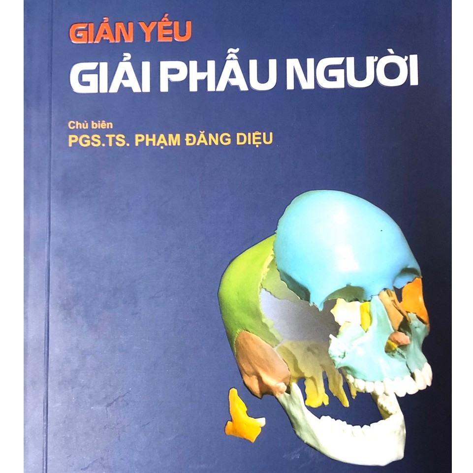 Sách - Giản yếu Giải Phẫu Người 2020