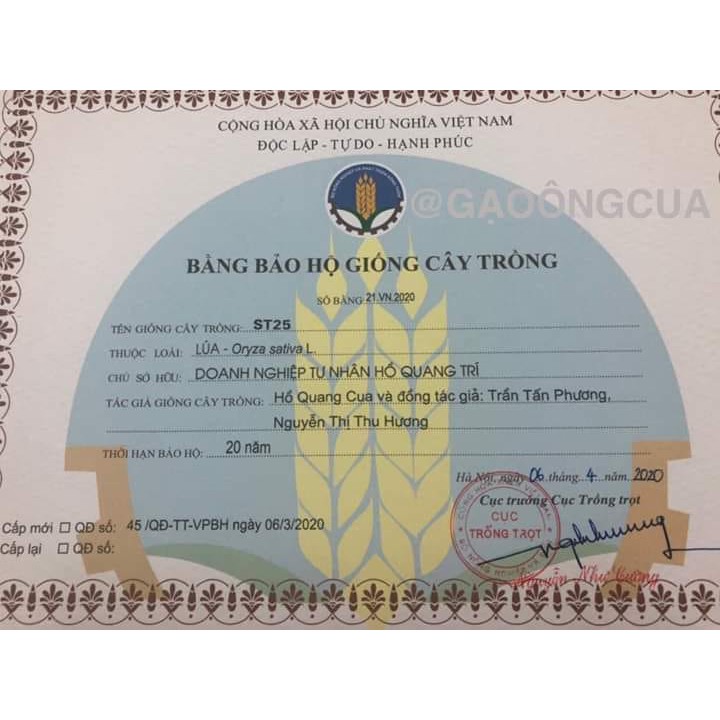 Gạo ST25 Sóc Trăng (DNTN Hồ Quang Trí) túi 5kg