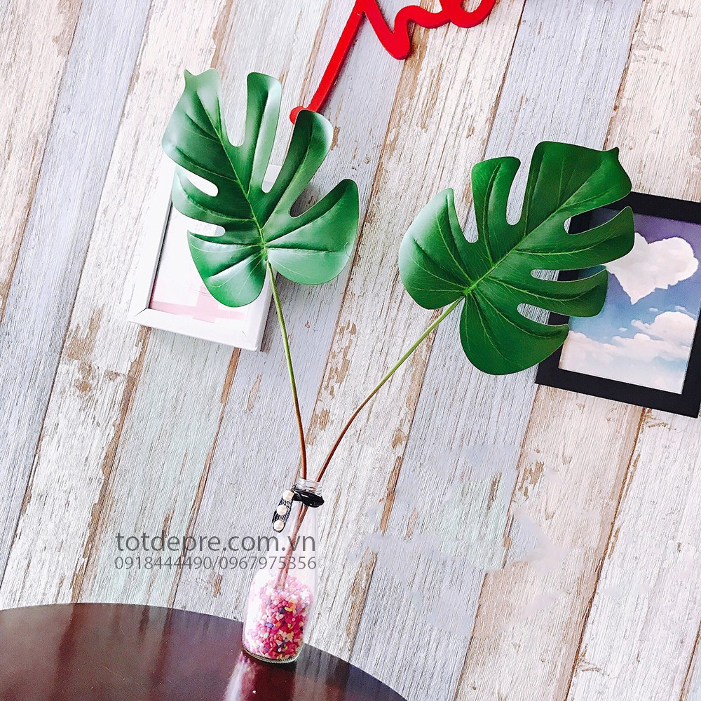 Cành lá rùa Decor cỡ lớn 60x24cm làm phông nền chụp ảnh trang trí nhà cửa