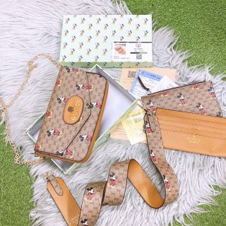 TÚI GC 3in1 MICKEY SZ 21