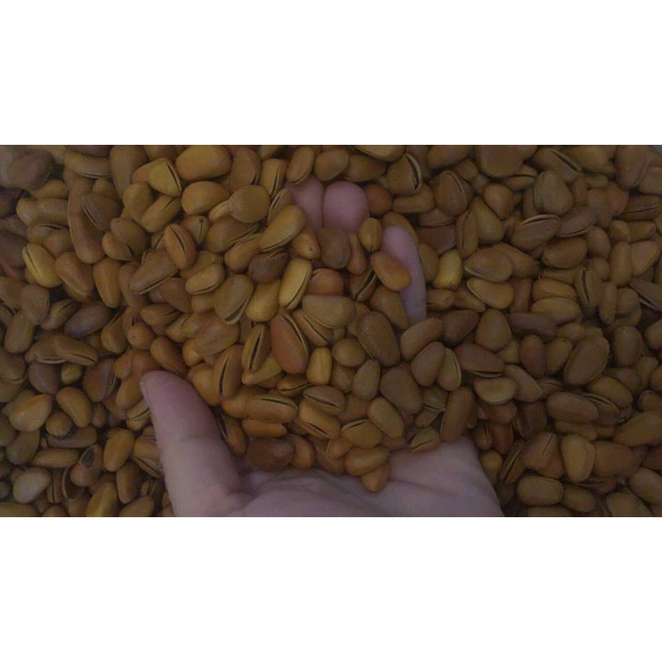 Hạt Thông Mỹ-1kg-2 Hộp
