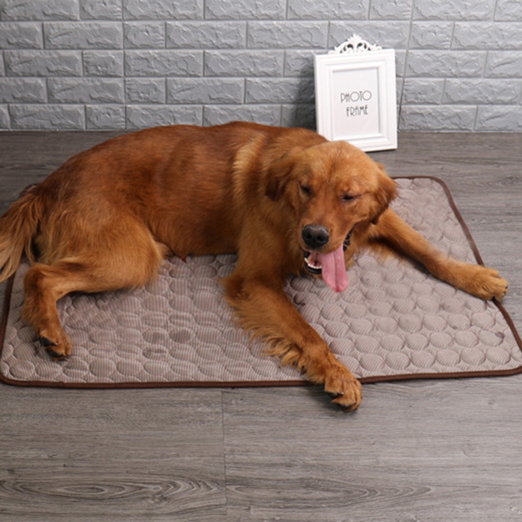 Thảm Cotton Mềm Mại Thoáng Khí Làm Mát Cho Thú Cưng
