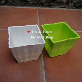 Chậu nhựa trồng cây vuông nhỏ cao 10cm bền đẹp