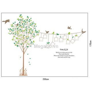 Decal khung ảnh A008