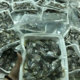 Khô cá sặc đồng 1kg