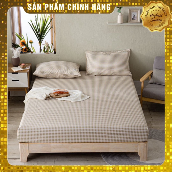 Set 3 món Bộ ga giường vỏ gối cotton tici họa tiết kẻ sọc chấm bi | BigBuy360 - bigbuy360.vn