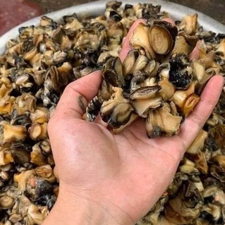 Ruột đầu ốc bươu h500gr