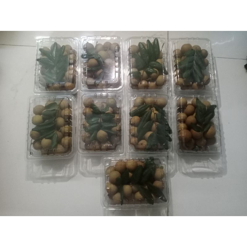 Nhãn xuồng cơm vàng