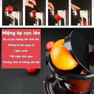 MÁY ÉP CHẬM HONGXIN-RH312 SIÊU TO (SLL)