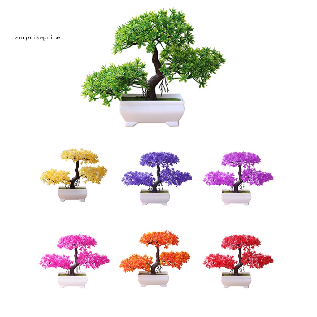 Chậu Cây Bonsai Giả Trang Trí