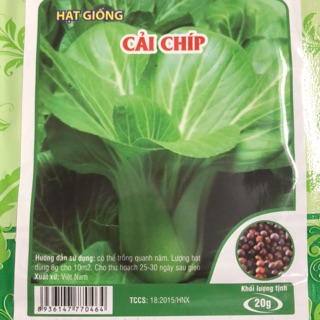Hạt giống Cải Chíp 🥬 20 gram ☘️