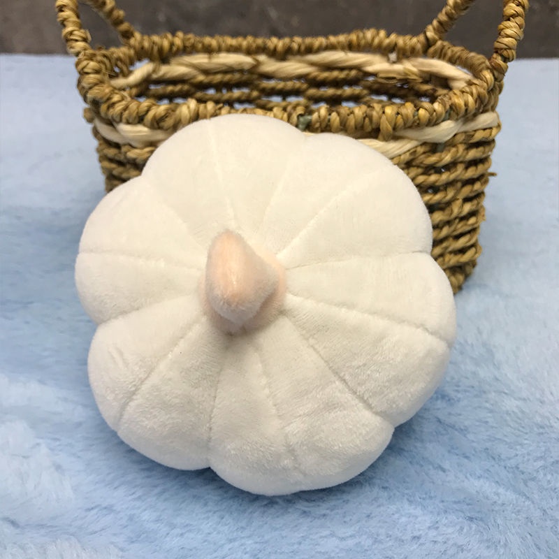 Búp bê nhồi bông rau củ bí ngô khoai tây tỏi ớt hành sáng tạo cho sinh nhật