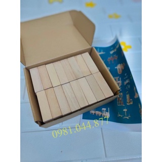 Bộ xếp hình sáng tạo domino 100 chi tiết kèm hướng dẫn chơi