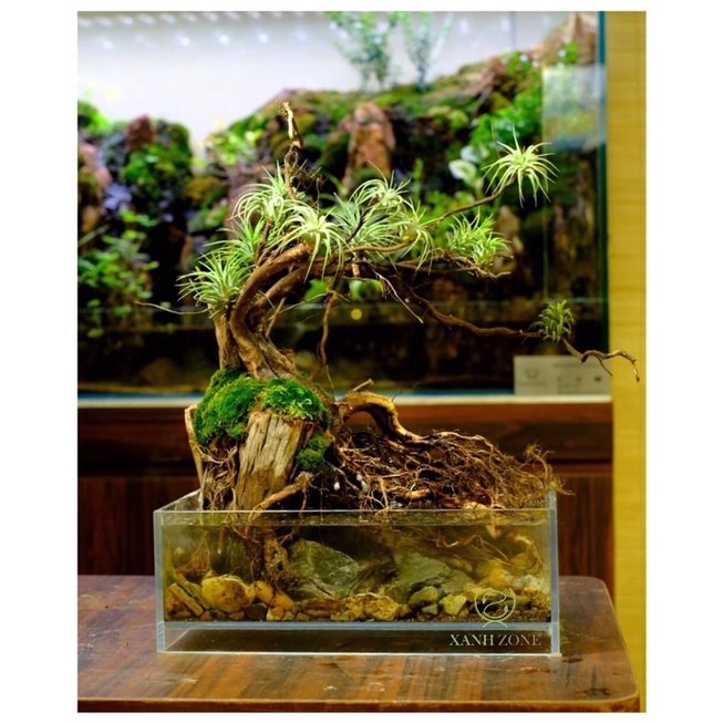 Không khí ion. mini dán lũa hồ thủy sinh bán cạn, treo gió