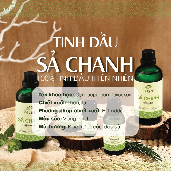 Combo 2 chai Tinh dầu 24Care Quế, Sả Chanh - (10ml/chai)