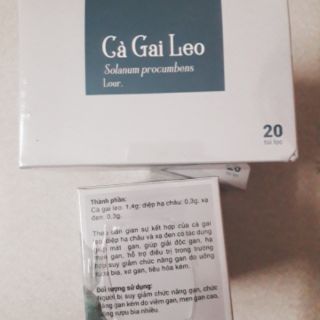 Trà túi lọc cà gai leo