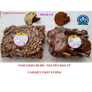 Nấm Linh Chi Đỏ Nguyên Cánh Nguyên Bào Tử Nhà Trồng 500g NẤM LINH CHI ĐỎ 500g