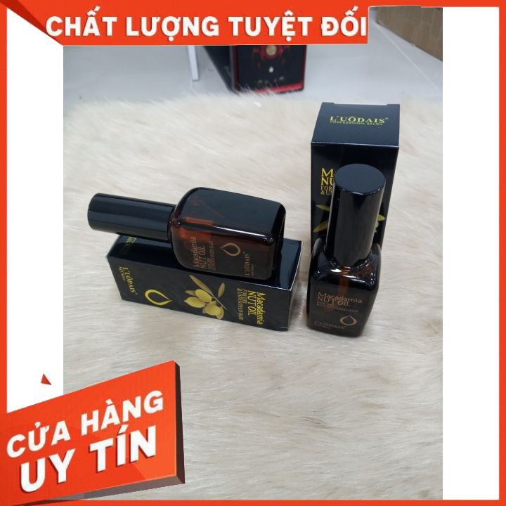 Dầu dưỡng tóc Macadamia Nut Oil 50ml 🍩🍩 cấp ẩm , nuôi dưỡng ohục hồi tóc khô xơ, giúp tóc suôn mượt chắc khỏe.