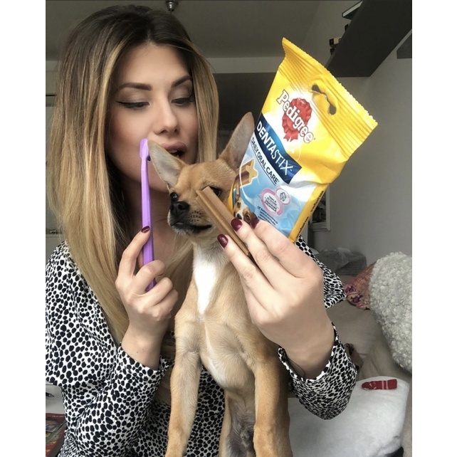 Xương gặm sạch răng PEDIGREE DENTASTIX sản phẩm bán chạy tại MỸ hộp 1.6kg