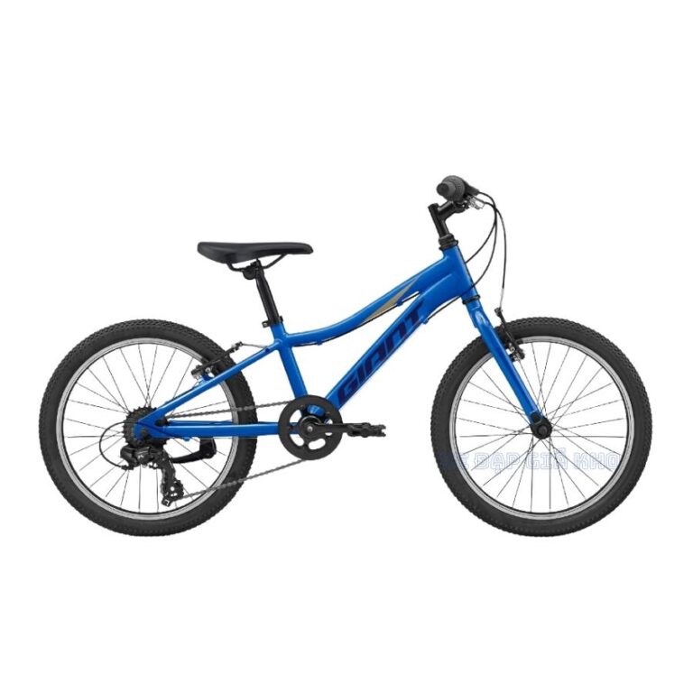 Xe Đạp Trẻ Em Youth GIANT XTC JR 20 Lite 2022 – QT