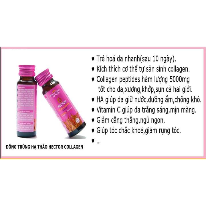 Nước Hector Collagen Đông Trùng Hạ Thảo, 1 Chai