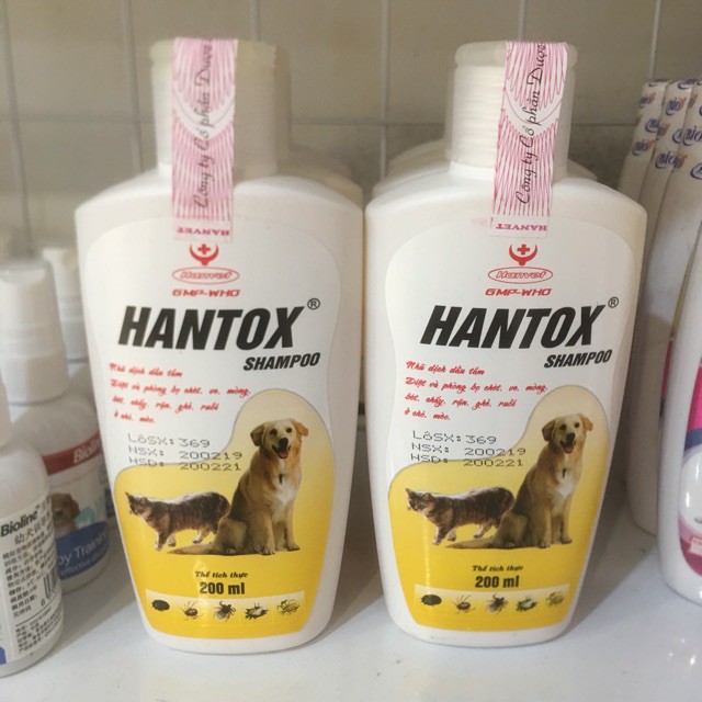 Sữa tắm hantox shampoo diệt ve rận bọ chét ghẻ chó mèo - dầu tắm diệt khuẩn ngoài da mèo cún con (vàng)