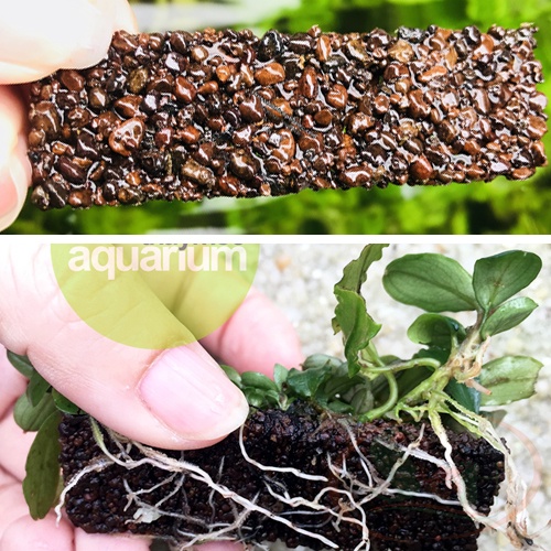 Giá thể trồng cây Thủy Mộc Napad nâu, đen, tròn 1 miếng trơ không dưỡng ươm trồng cây thủy sinh