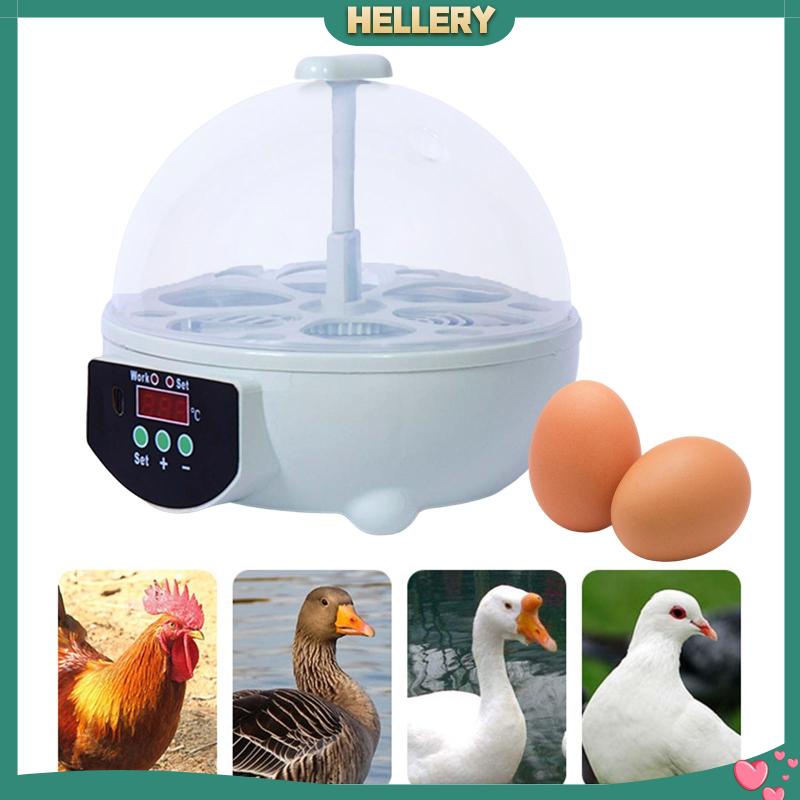 Lồng Ấp Trứng 6 Ngăn Kỹ Thuật Số Điều Khiển Nhiệt Độ