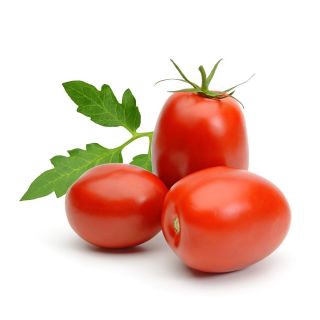Thuốc dẫn dụ diệt ruồi vàng Vizubon -D