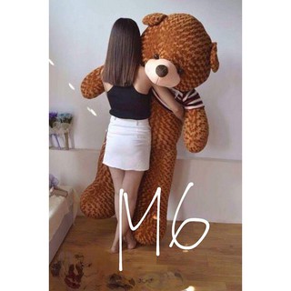 [ Gấu bông 2m2 ] Gấu bông teddy 2m2