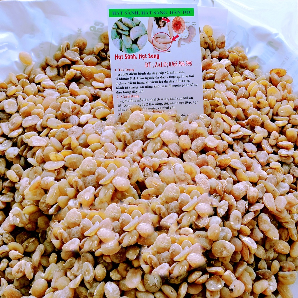 HẠT SÀNH  RỪNG LOẠI GIÀ, RUỘT TRẮNG, 1 GÓI 10 hạt