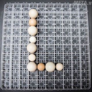Khay đảo trứng l100