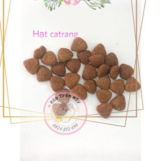 CATRANG túi zip bạc 1kg