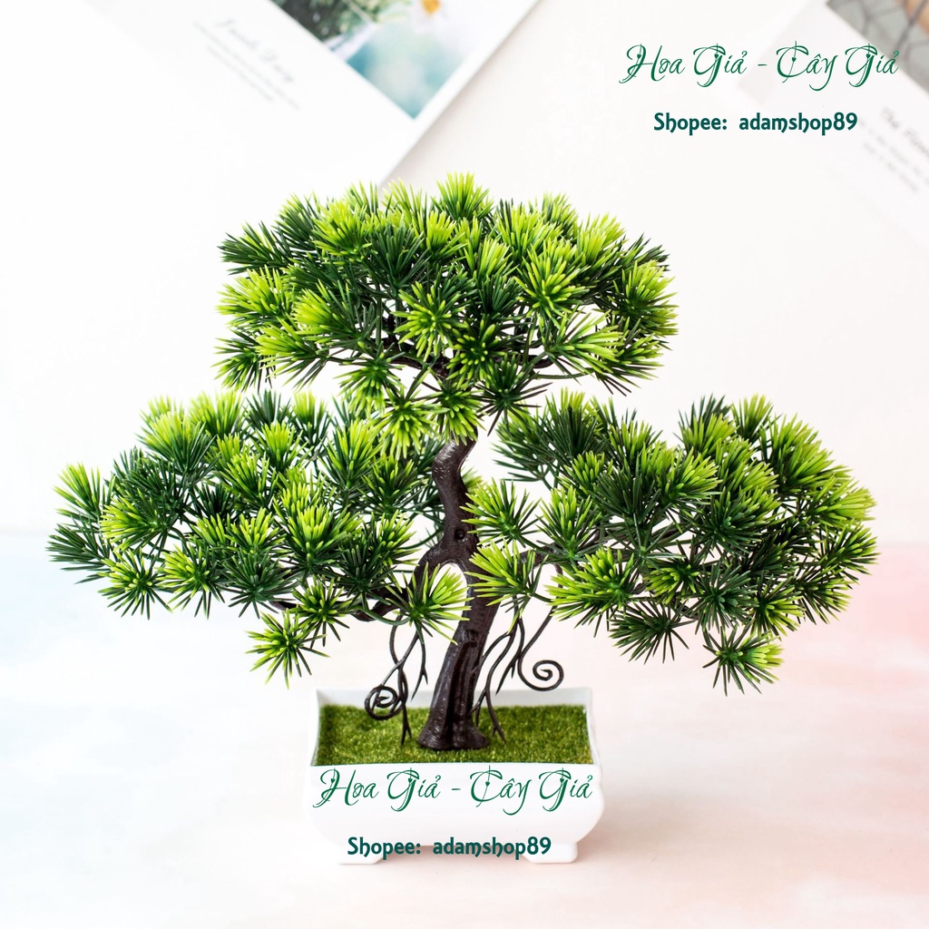 Cây bonsai giả - Cây tùng CT5 may mắn, Trang trí